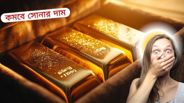 নাগালের বাইরে সোনার দাম, মূল্যবৃদ্ধিতে পকেটে ছ্যাঁকা! বাজেট থেকে কী আশা সাধারণ মানুষের?
