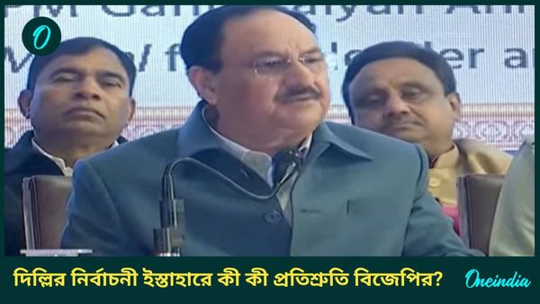 Delhi Polls BJP Manifesto: মহিলাদের ২৫০০ টাকা মাসিক ভাতা, বিনামূল্যে LPG; বিজেপির দিল্লি-ইস্তাহারে কী চমক?