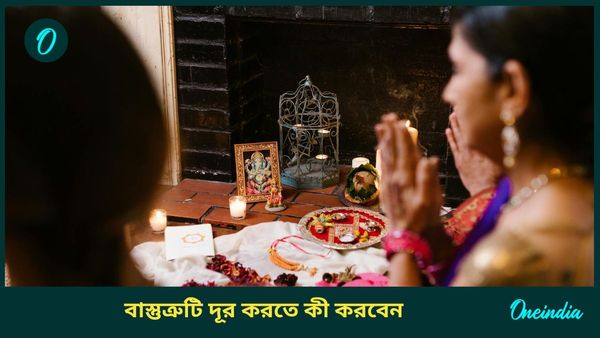 বাড়িতে এই জিনিসগুলি রাখলেই খুলবে ভাগ্যের দ্বার, দূর হবে বাস্তুত্রুটিও