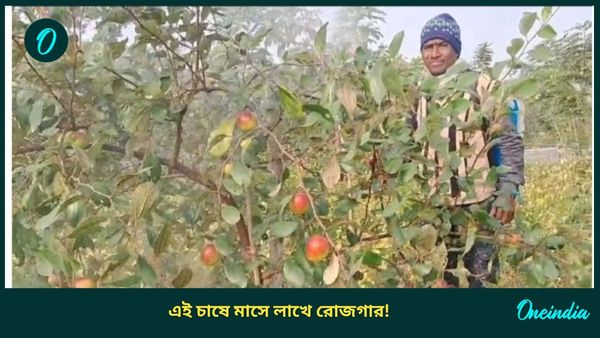 দেখতে আপেল, গন্ধ কমলা লেবুর মতো! অদ্ভুত এই ফল চাষ করে লাখে রোজগার বাংলার এই কৃষকের