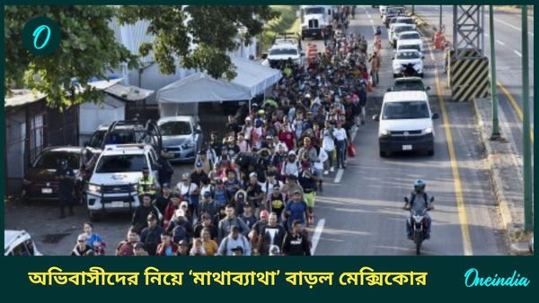 Mexico Border: অবৈধ অভিবাসীদের বাড়ি পাঠানোর হুঁশিয়ারি ট্রাম্পের, মেক্সিকোর সীমান্ত শহরে জরুরি অবস্থা জারি