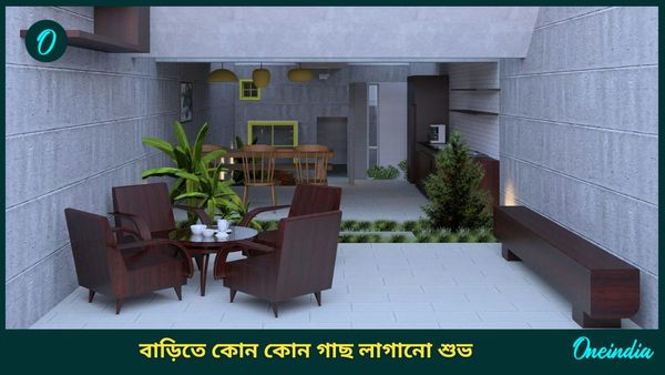 দাম্পত্য জীবনে সুখ ফিরে পেতে চান, তাহলে আজই শোওয়ার ঘরে রাখুন এই গাছগুলি  
