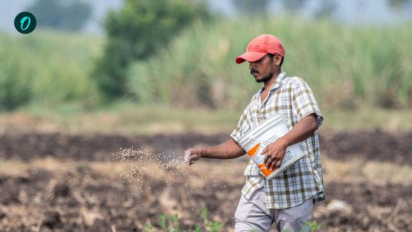 বাজেট পেশের আগে কৃষিক্ষেত্রকে শক্তিশালী করার জন্য প্রয়োজন পরিকল্পনার, সেগুলি কী কী?