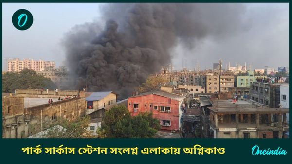 Park Circus Fire: পার্ক সার্কাস স্টেশনের পাশে ভয়াবহ আগুন, একাংশে বন্ধ ট্রেন চলাচল
