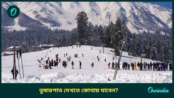 Travel: জানুয়ারিতে তুষারপাত উপভোগ করতে কম বাজেটে ঘুরে আসুন দেশের এই জায়গাগুলিতে 