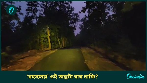 ডোরাকাটা ও বাছুরের চেয়ে একটি বড় জন্তু...বাঁকুড়ার জঙ্গলে ওটা আসলে কী? 'রহস্যময়' প্রাণীর খোঁজে অ্যালার্ট জেলায়