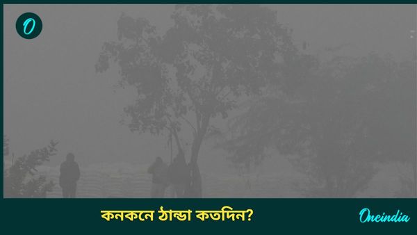 Weather Update: কনকনে ঠান্ডায় জবুথবু কলকাতা থেকে জেলা, উত্তর ভারতে শৈত্যপ্রবাহ; জেনে নিন আবহাওয়া আপডেট