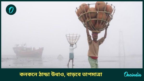 West Bengal Weather Update: দক্ষিণবঙ্গে ফিরছে না জাঁকিয়ে শীত, তাপমাত্রা কমবে উত্তরবঙ্গে; কেমন থাকবে আবহাওয়া?