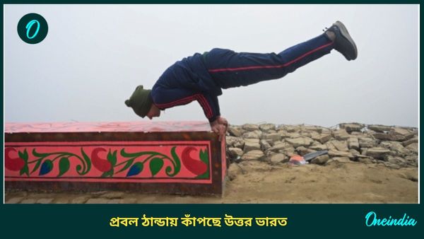 Dense Fog in Delhi: দৃশ্যমানতা একেবারে শূন্যে, একাধিক বিমান বাতিল, অস্বাভাবিক দেরিতে চলছে একাধিক ট্রেন