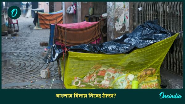 West Bengal Weather Update: মাঘ মাসেও ঠান্ডা নেই বাংলায়! এর পিছনে থাকা আসল কারণটা জানেন? আশ্চর্য হবেন