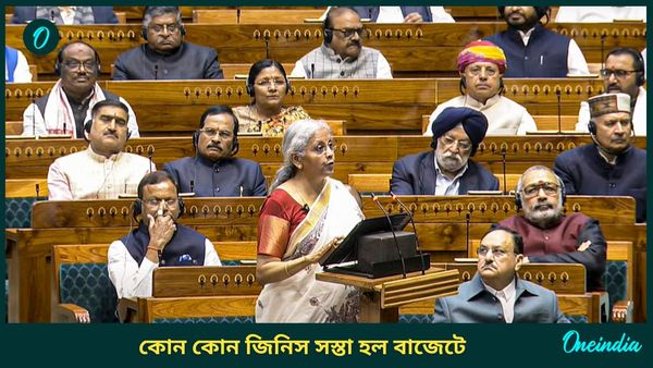 Union Budget 2025: এক ধাক্কায় এই সমস্ত জিনিসের দাম কমে গেল! জানেন তালিকায় কী কী আছে?