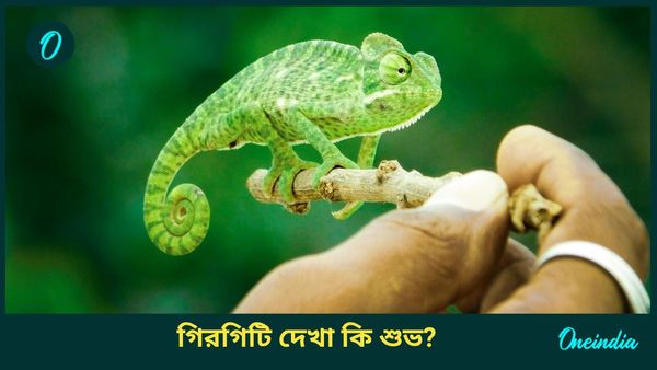 টিকটিকি নয়, এই প্রাণীর বাড়িতে আগমন ও দেখা অত্যন্ত শুভ, কিন্তু কেন?