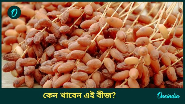অকেজো ভেবে ফেলে দিচ্ছেন এই ড্রাই ফুটসের বীজ, জানেন স্বাস্থ্যের জন্য কতটা উপকারী? 