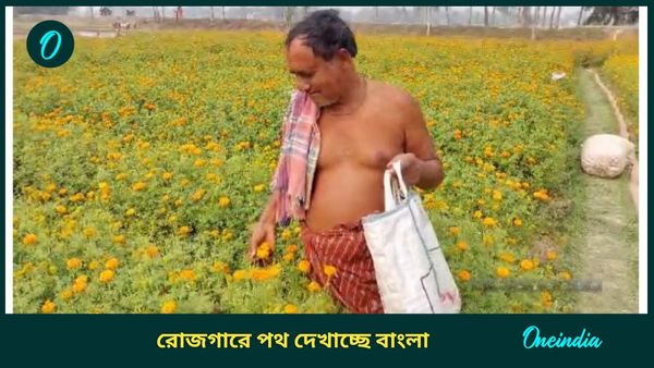 উত্তরবঙ্গের এই জেলায় সারা বছর হচ্ছে গাঁদার চাষ, লাভের মুখ দেখছেন কৃষকরা! বড় সুযোগ স্বনির্ভর হওয়ার