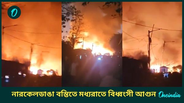 Narkeldanga Fire: বিধ্বংসী আগুন নারকেলডাঙার বস্তিতে, পুড়ে ছাই পরপর ঝুপড়ি; মধ্যরাতে ঘরছাড়া বহু মানুষ