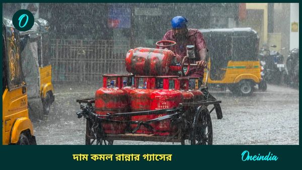 LPG Gas Cylinder price: Budget এর আগেই ২০ টাকা... অনেকটাই কমল রান্নার গ্যাসের দাম