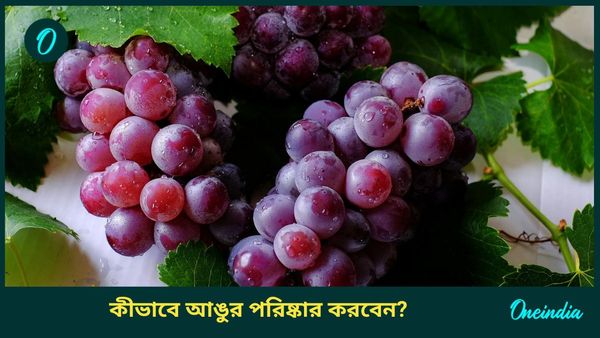 শুধু জল দিয়ে আঙুর ধুচ্ছেন, ঠিক করছেন তো? কীভাবে ধোবেন এই ফল 