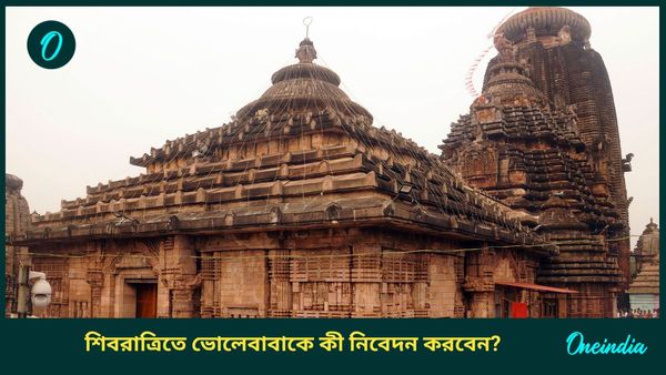 Travel: মনের গুপ্ত ইচ্ছা পূরণ করতে শিবরাত্রিতে যান মহাদেবের এই মন্দিরগুলিতে