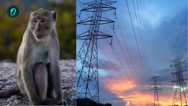 হনুমানের লঙ্কা তাণ্ডব! তার জেরে অন্ধকারে ডুবল শ্রীলঙ্কা