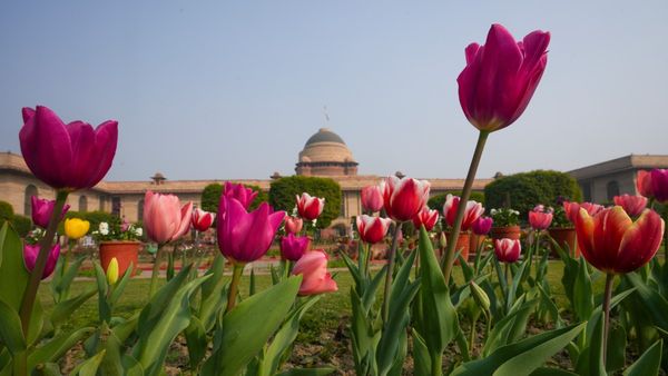 নতুন ইতিহাস গড়তে চলেছে রাষ্ট্রপতি ভবন, এই প্রথমবার সেখানে বসতে চলেছে বিবাহ আসর