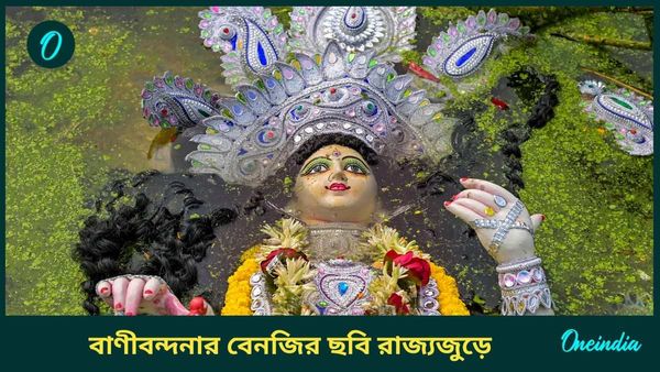 Saraswati Puja Clash: গার্ডেনরিচে মার খেল পুলিশ! জেলায় জেলায় অশান্তি, সরস্বতী বিসর্জনেও বাংলায় সংঘর্ষ