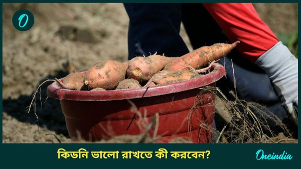 কিডনিতে ভালো রাখতে শীতকালে নিত্যদিন পাতে রাখুন এই বিশেষ খাবারগুলি