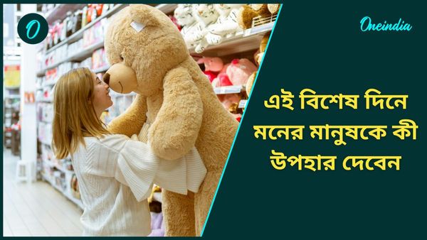 Teddy Day: আপনার সঙ্গিনী কি টেডি বিয়ার পছন্দ করেন না? তাহলে টেডি ডেতে কী উপহার দেবেন 