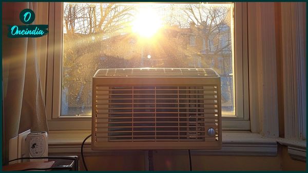 Air Cooler Tips: কুলার থেকে গরম হাওয়া বেরোচ্ছে! কিন্তু কেন? ঘর ঠাণ্ডা রাখতে মানুন এই টিপস