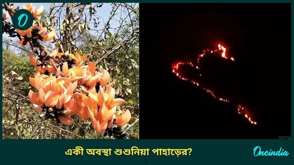 Shushunia Pahar: একটা রাত..রাতারাতি বদলে গেল শুশুনিয়া পাহাড়! লাল পলাশ এখন শুধুই কালো, চারপাশ জুড়ে পোড়া গন্ধ