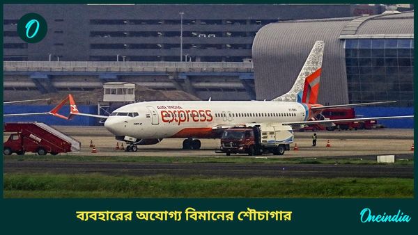 Air India Flight: টয়লেটে অন্তর্বাস ফ্লাশ! ময়লা জমে ব্যবহারেরও অযোগ্য; অর্ধেক রাস্তা এসে ফিরে গেল বিমান