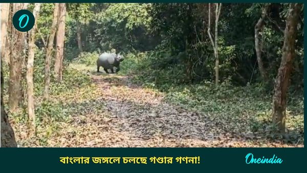 North Bengal News: কেউ চেপেছেন হাতির পিঠে, কারোর নজর ক্যামেরায়! তোলপাড় হচ্ছে জঙ্গল, দুদিন বন্ধ গরুমারা