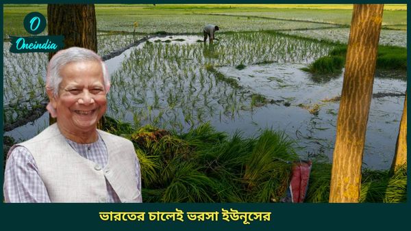বাংলাদেশকে ভাত জোগাবে সেই ভারত, কোটি কোটি টাকা খরচ করছে ইউনূস সরকার