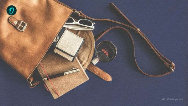 পার্সে এই জিনিসগুলি রাখলে ক্রুদ্ধ হন সম্পদের দেবী, ঘিরে ধরে আর্থিক সঙ্কটও