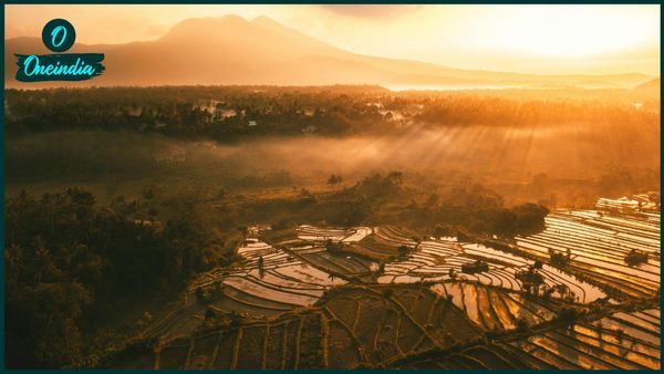 Travel: ভারতীয়দের জন্য সুবর্ণ সুযোগ, বিনা ভিসাতেই গ্রীষ্মে পাড়ি দিন থাইল্যান্ড থেকে বালিতে