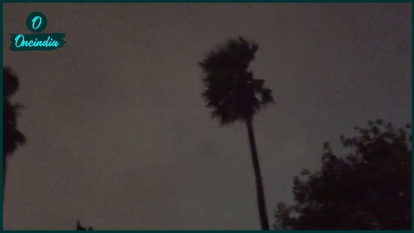 Kalbaisakhi Alert: ৬০ কিমি...বিকেল হতেই কালবৈশাখীর তাণ্ডব! ২৪ ঘণ্টায় আরও বড় দুর্যোগের পূর্বাভাস