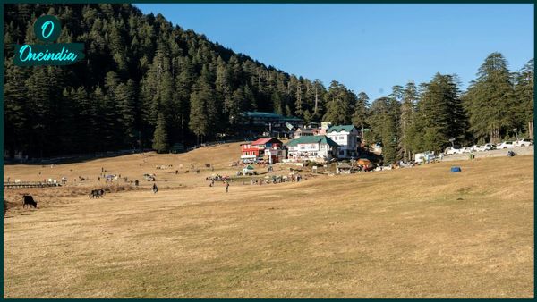 Travel: আপনার সুইজারল্যান্ড ভ্রমণের স্বপ্ন পূরণ করতে পারে ভারতের এই জায়গাগুলি