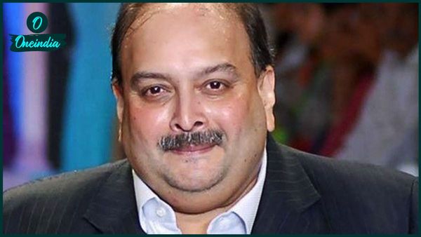 গ্রেফতার মেহুল চোকসি, ধারাবাহিকভাবে নানান কুকীর্তির দায়ে বেলজিয়ামে ধৃত অভিযুক্ত