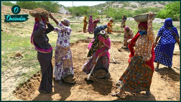 ১০০ দিনের কাজে বাংলার ৪ জেলা থেকে উদ্ধার ২ কোটি ২০ লক্ষ টাকা! হাইকোর্টে রিপোর্ট দিল কেন্দ্র
