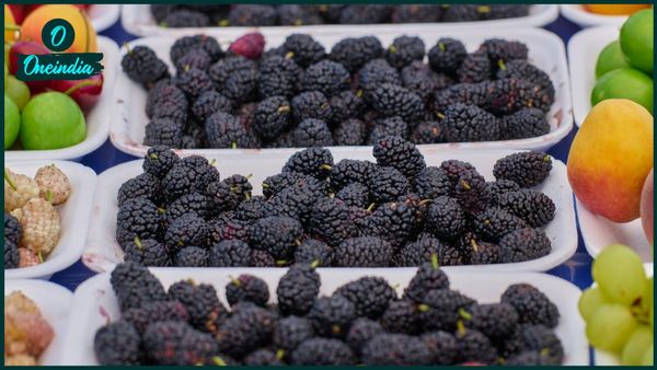 গ্রীষ্মে তুঁত খেলে পাবেন একাধিক উপকারিতা, পুষ্টিবিদরা বলছেন 