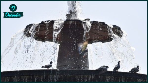 West Bengal Weather Update: গরমে পুড়বে বাংলা, তাপপ্রবাহ দক্ষিণবঙ্গে; সপ্তাহান্তে বদলাবে আবহাওয়া, জানুন আপডেট