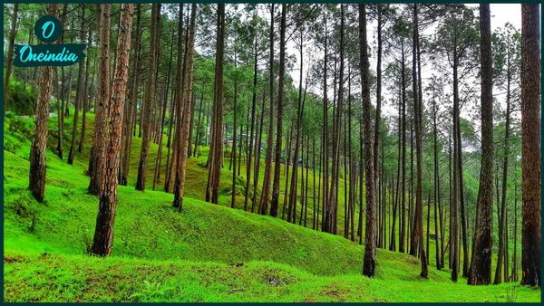 Travel: গ্রীষ্মের ক্লান্তভাব কাটিয়ে প্রাণ জুড়াতে ঘুরে আসুন দেশের এই সুন্দর ঠিকানাগুলিতে