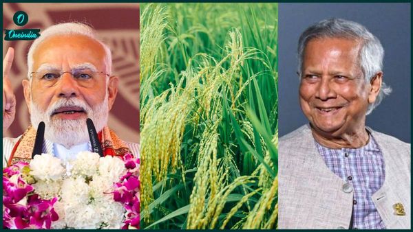 ভারতের চাল খেয়ে ষড়যন্ত্রের জাল ইউনূসের, নোবেলজয়ী নাকি 'দু-মুখো সাপ'? ভারতের জাহাজ পৌঁছতেই কেন এমন মন্তব্য!