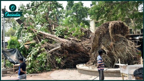 West Bengal Weather Update: সপ্তাহ শেষে প্রবল দুর্যোগের পূর্বাভাস! আছড়ে পড়বে ঝড়, রইল সেই বড় পূর্বাভাস