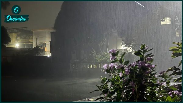 Kalbaisakhi Hit Bengal: প্রবল বৃষ্টির সঙ্গে ঝোড়ো হাওয়ার দাপট কলকাতায়, কালবৈশাখীর দাপট দেখল একাধিক জেলা