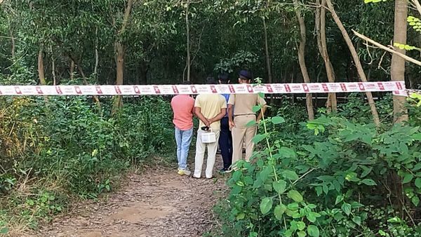 মমতার সমালোচনায় ওডিশার উপ মুখ্যমন্ত্রী, সরব মহিলা কমিশনের চেয়ারপার্সনও