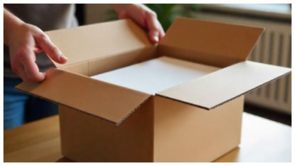 অনলাইনে ফোন অর্ডার, বাক্স খুলতেই চক্ষু চড়কগাছ!মোবাইলের বদলে কি বেরোল? জানুন