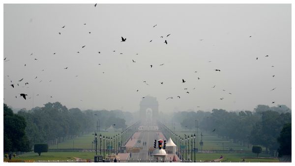 ইথিওপিয়ার আগ্নেয়গিরির ছাই ভারতে কেন ছড়াল, কেনই বা থমকাল ফ্লাইট পরিষেবা? জানুন