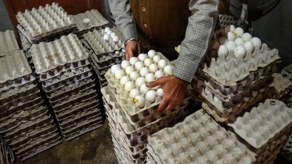 লাফিয়ে বাড়ল ডিমের দাম! প্রতি পিস কত? আরও কী বাড়তে পারে? জানুন