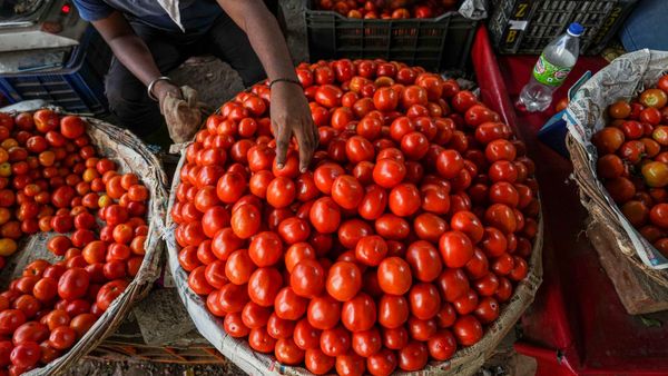 মধ্যবিত্তের মাথায় হাত! ৫০% বৃদ্ধি পেল টমেটোর দাম, সবজির দাম ক্রমশ উর্ধমুখী কেন? জানুন