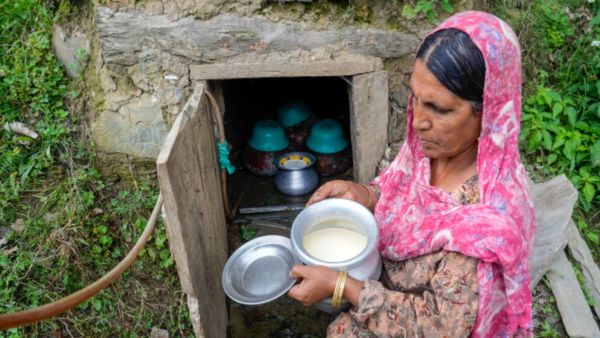 মধ্যবিত্তের মাথায় হাত! ফের বাড়ছে দুধের দাম, কত টাকা গুনতে হবে? কেন এমন সিদ্ধান্ত? জানুন